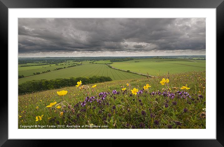 Pewsey Vale Summer landscape Framed Mounted Print by Creative Photography Wales