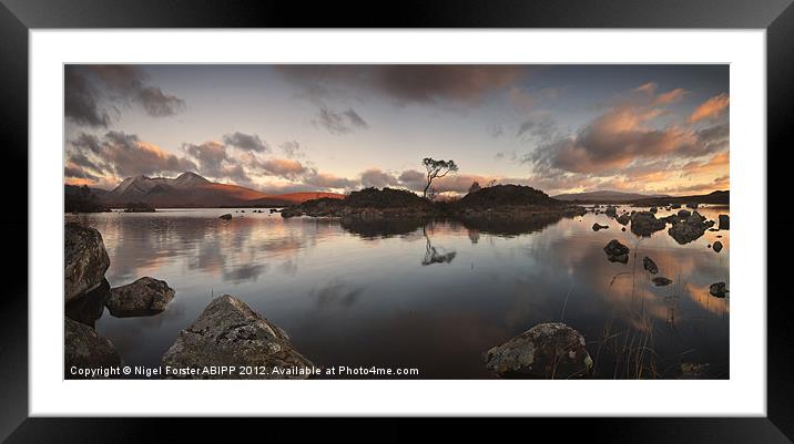 The lost Rowan Framed Mounted Print by Creative Photography Wales