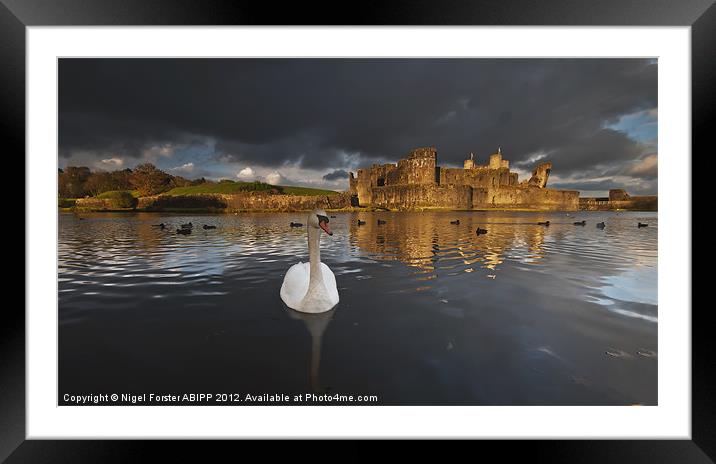 Swan at Caerphilly Castle Framed Mounted Print by Creative Photography Wales