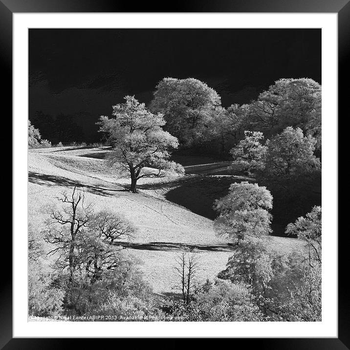 Frosty trees Framed Mounted Print by Creative Photography Wales