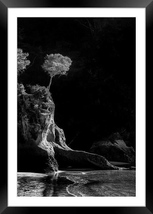Tree Sculpture Framed Mounted Print by Creative Photography Wales