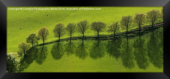 Epynt Trees Spring Landscape Framed Print by Creative Photography Wales