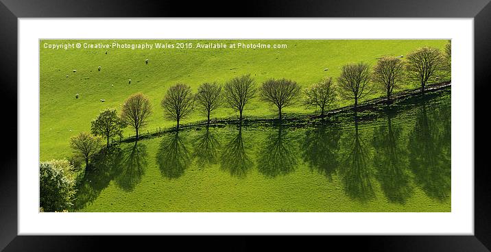 Epynt Trees Spring Landscape Framed Mounted Print by Creative Photography Wales