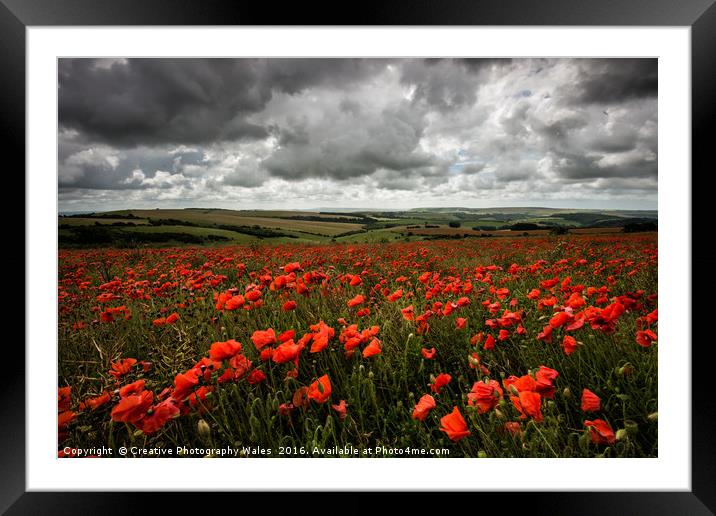 South Downs Poppies Framed Mounted Print by Creative Photography Wales