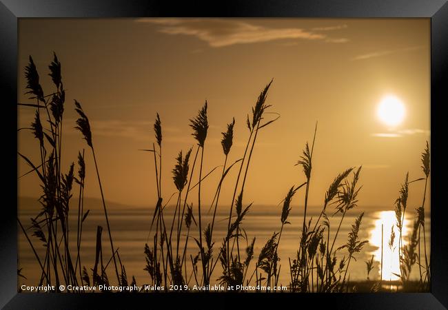 Rushes at Dawn, Laugharne Estuary Framed Print by Creative Photography Wales