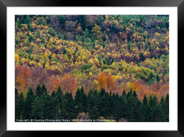 Snowdonia autumn Forest Framed Mounted Print by Creative Photography Wales