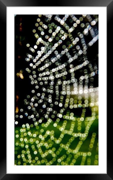 Spider Web in rain Framed Mounted Print by Hamid Moham