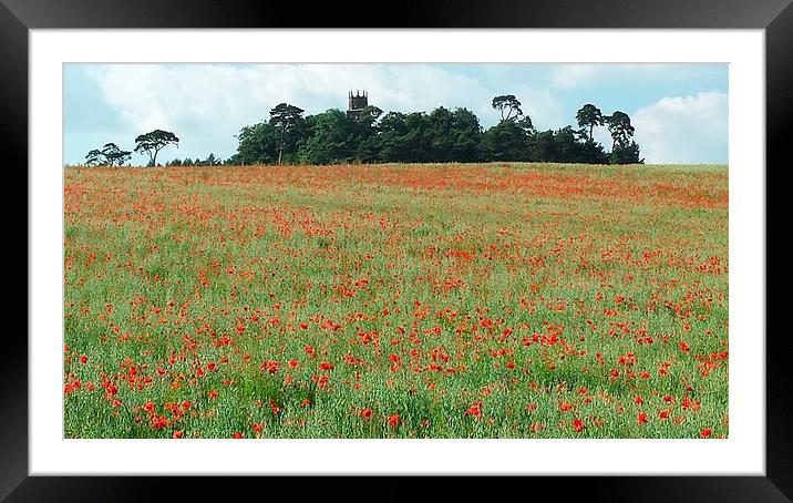  poppy field Framed Mounted Print by Raymond Partlett