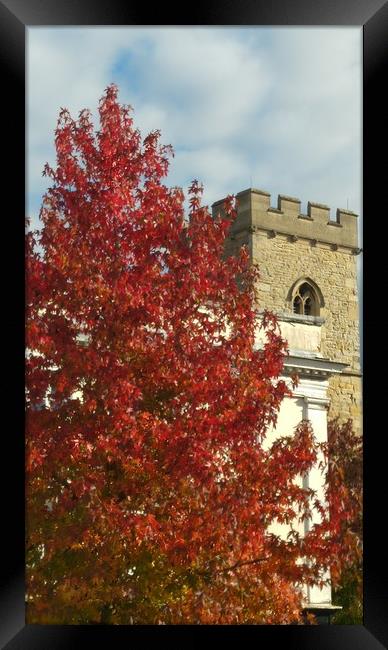 Autumn Framed Print by Raymond Partlett