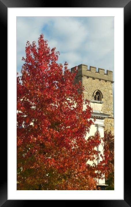 Autumn Framed Mounted Print by Raymond Partlett