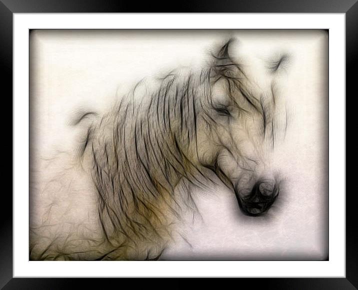 Horse Framed Mounted Print by Debra Kelday
