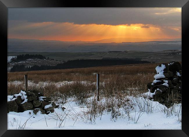 Winter Sunshine Framed Print by Debra Kelday