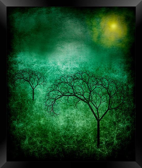 Bare Trees. Framed Print by Debra Kelday