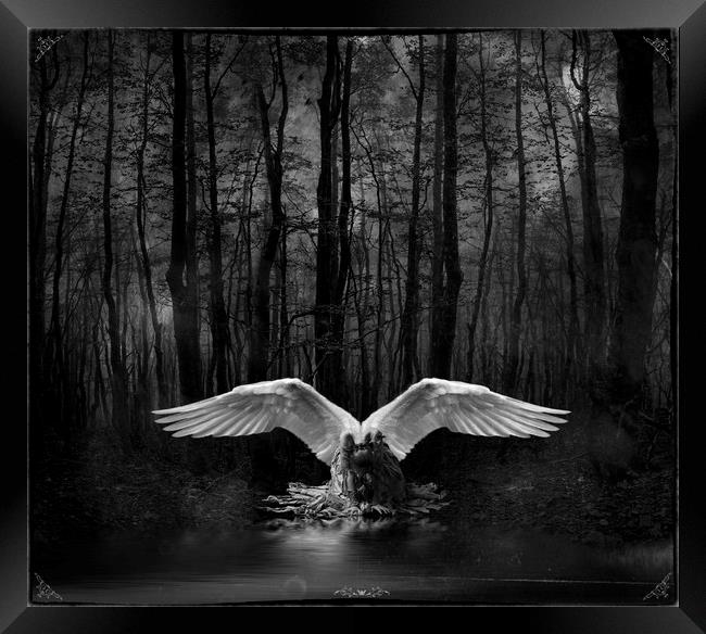 Fallen Angel Framed Print by Debra Kelday