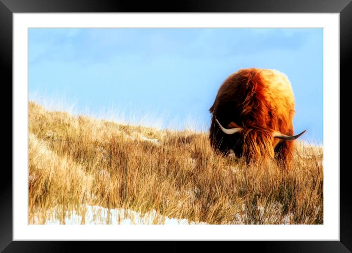Highland Cow Framed Mounted Print by Debra Kelday