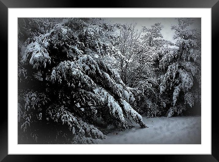 Burdened Framed Mounted Print by anu t