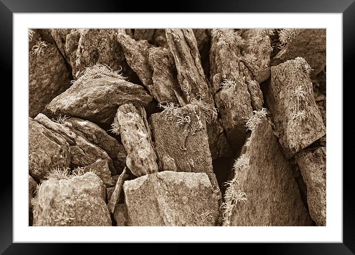 Pembrokshire Sea Rocks Framed Mounted Print by Celtic Origins