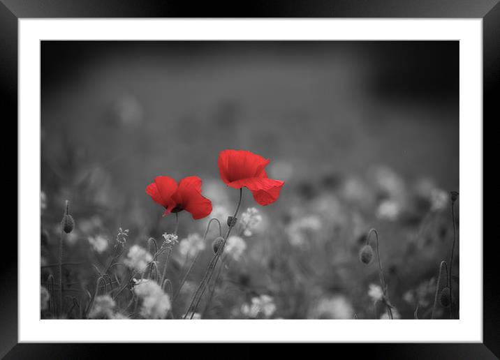 Standing Still Framed Mounted Print by Celtic Origins