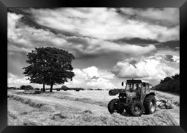 Collecting the Hay Framed Print by Celtic Origins