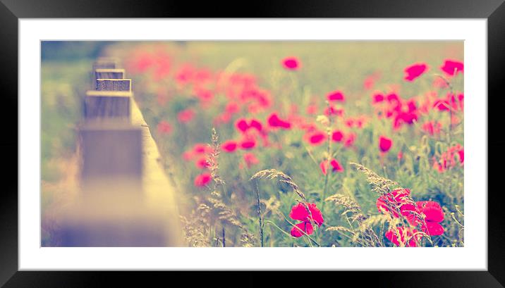 Looking Down the Fence Framed Mounted Print by Celtic Origins