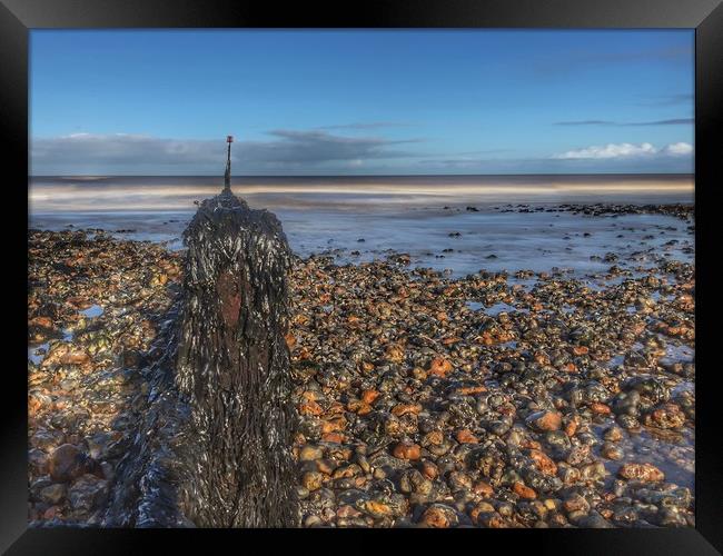 Seaweed covered groyne on Sheringham beach Framed Print by Scott Simpson