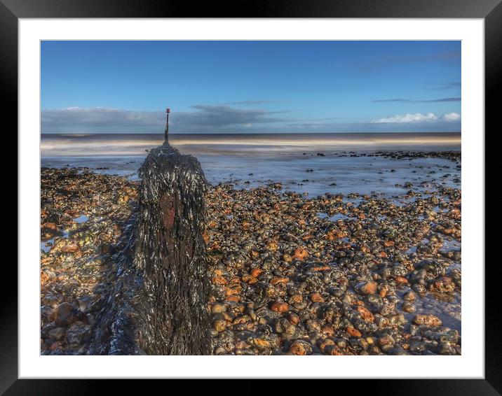 Seaweed covered groyne on Sheringham beach Framed Mounted Print by Scott Simpson
