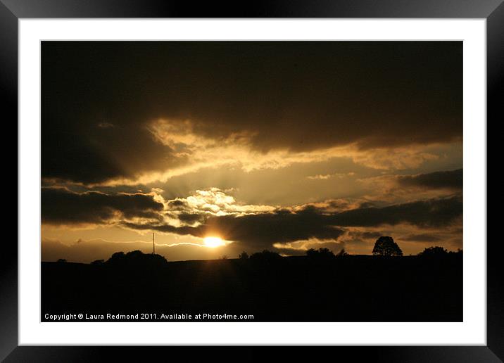 Evening glory Framed Mounted Print by Laura Dawnsky