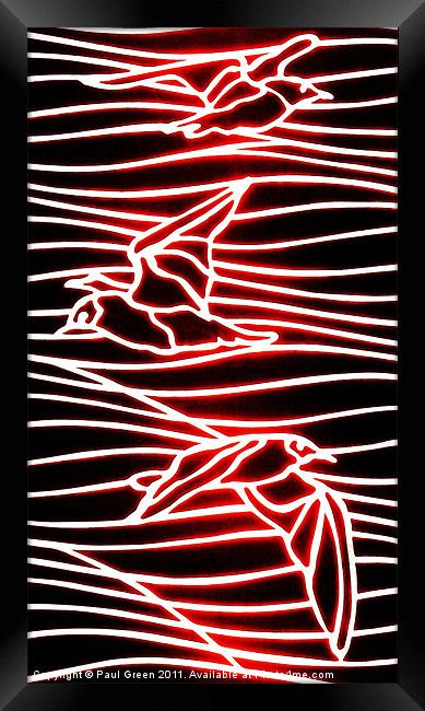 Red Birds Framed Print by Paul Green