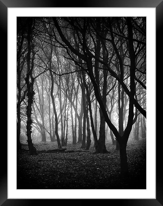 Down to the Woods Framed Mounted Print by Marcus Scott