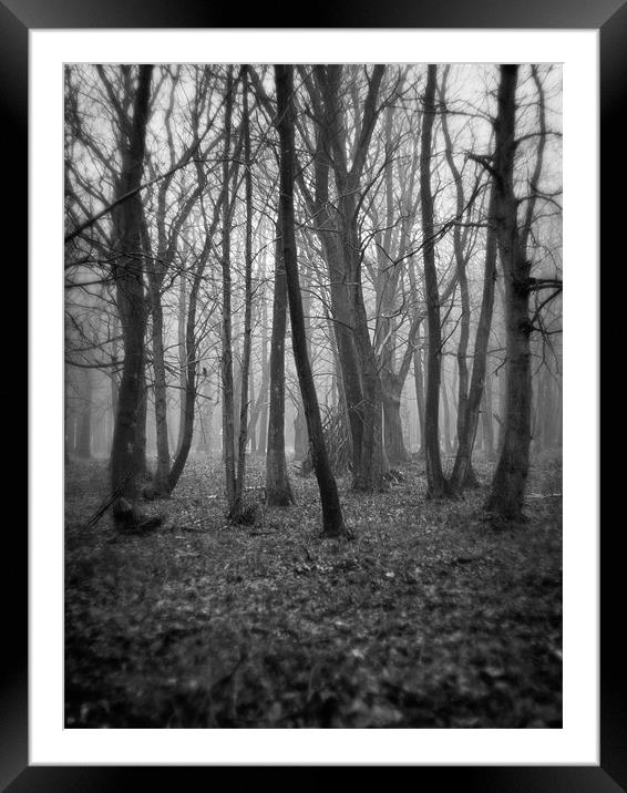 A Lack of Clarity Framed Mounted Print by Marcus Scott
