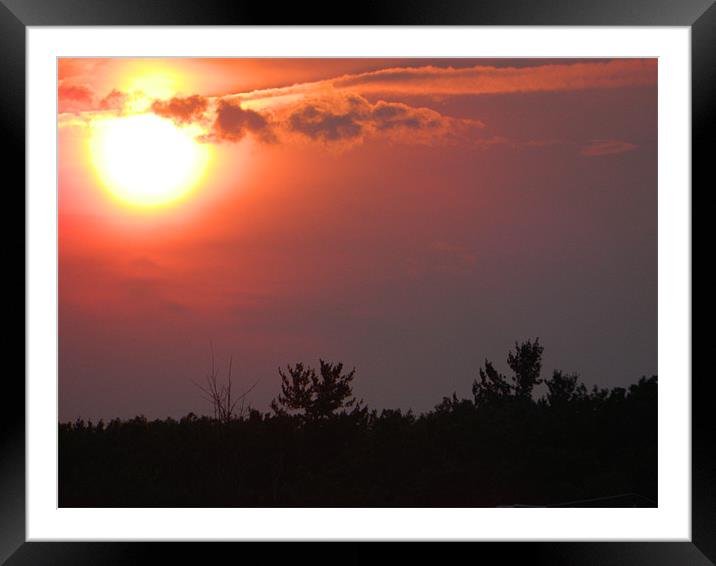red sunset Framed Mounted Print by anthony pallazola