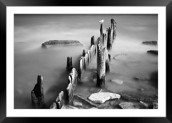 Old Posts Framed Mounted Print by Jonah Anderson Photography