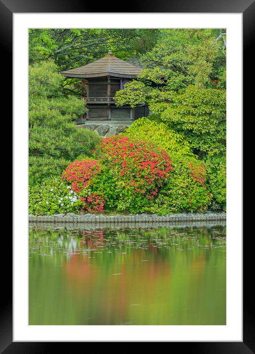 Seclusion Framed Mounted Print by Jonah Anderson Photography