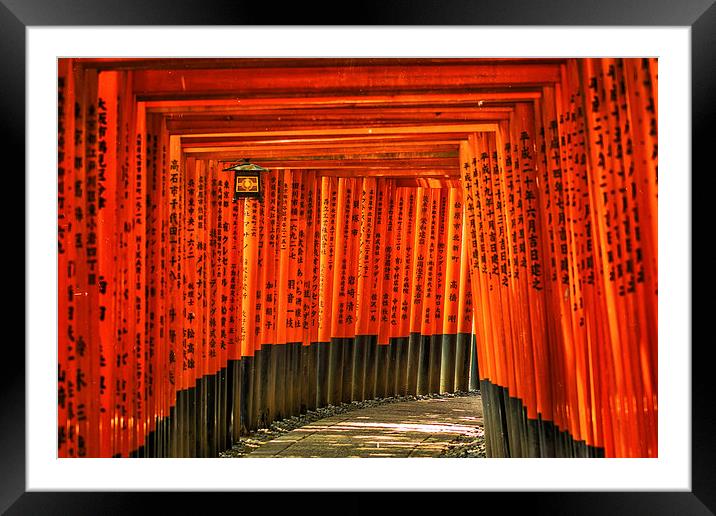 Fushimi Inari Framed Mounted Print by Jonah Anderson Photography