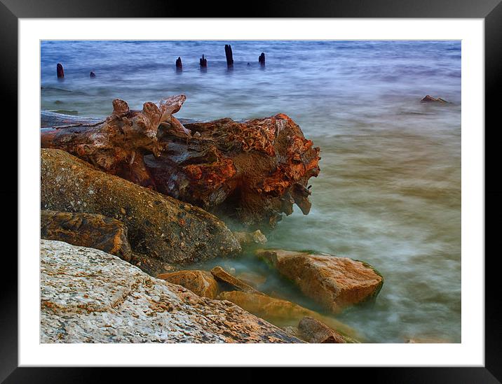Drift Wood Framed Mounted Print by Jonah Anderson Photography