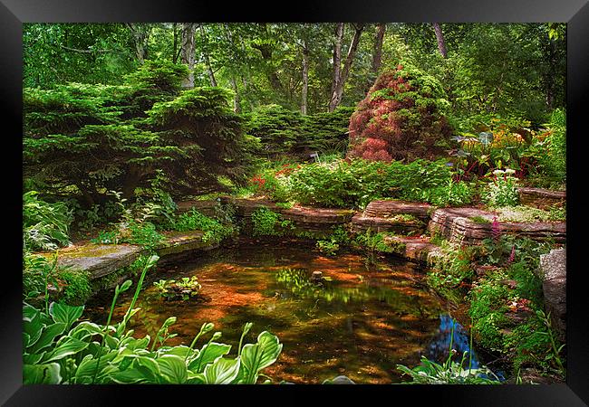  Garden Pond   Framed Print by Jonah Anderson Photography