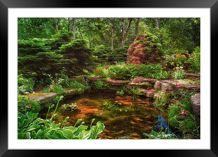  Garden Pond   Framed Mounted Print by Jonah Anderson Photography