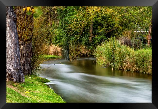 The Stream Framed Print by Jonah Anderson Photography