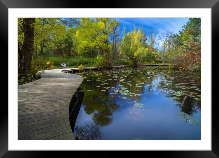 Renewal Framed Mounted Print by Jonah Anderson Photography