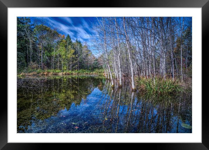 Simplicity and Symmetry Framed Mounted Print by Jonah Anderson Photography