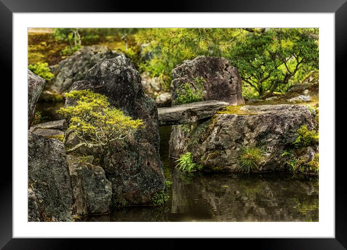 Ancient Pathway Framed Mounted Print by Jonah Anderson Photography