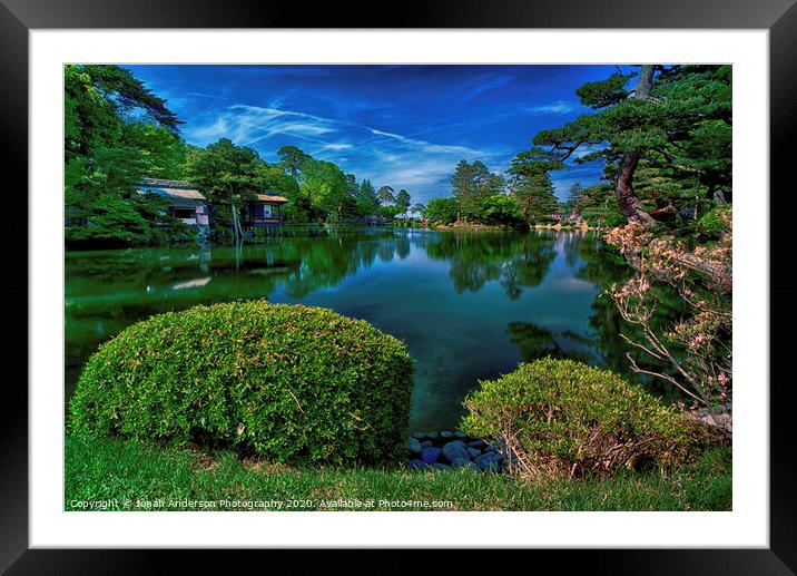 Japanese Garden Pond Framed Mounted Print by Jonah Anderson Photography