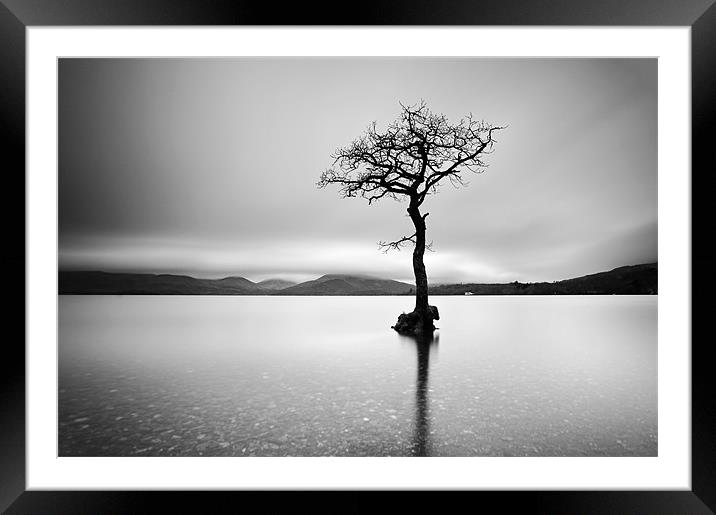 The Tree, Loch Lomond Framed Mounted Print by Grant Glendinning
