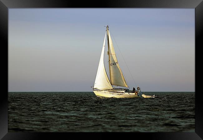 Sailing by Framed Print by Grant Glendinning