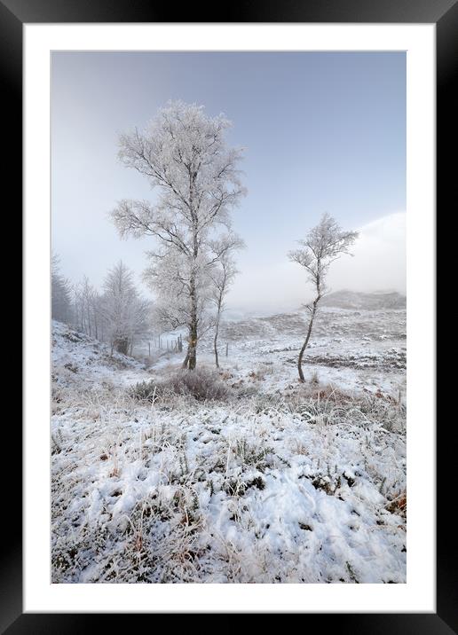 Glen Shiel Misty Winter Trees Framed Mounted Print by Grant Glendinning