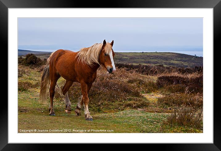 Wait for me ! Framed Mounted Print by Joanne Crockford