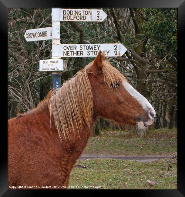 Which Way ? Framed Print by Joanne Crockford