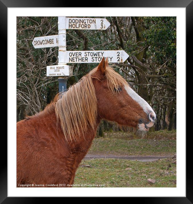 Which Way ? Framed Mounted Print by Joanne Crockford