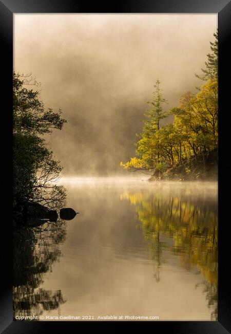Loch Ard in Autumn Misty Sunrise Framed Print by Maria Gaellman