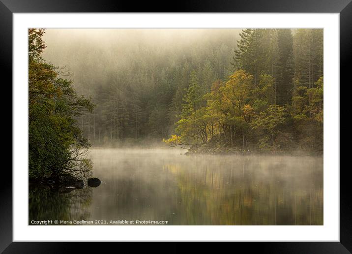 Loch Ard Misty Morning Framed Mounted Print by Maria Gaellman